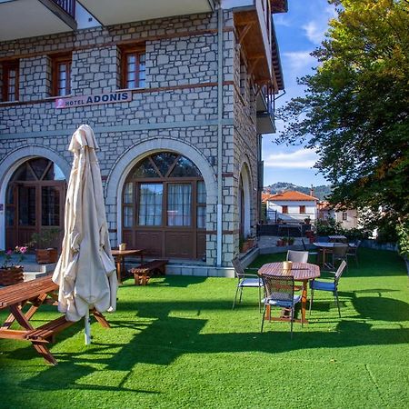 Hotel Adonis Metsovo Exterior photo